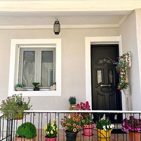 Lefkáda Leo'S City Apartment מראה חיצוני תמונה