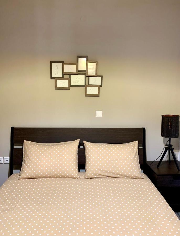 Lefkáda Leo'S City Apartment מראה חיצוני תמונה